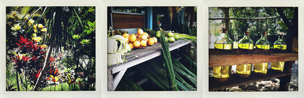 Bali - Colors