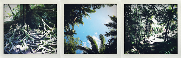 Bali - Luxuriance