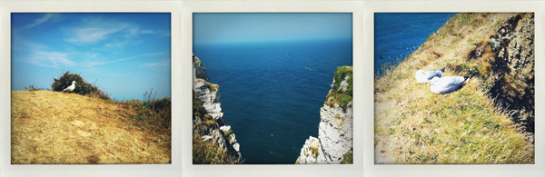 Escapade en Normandie