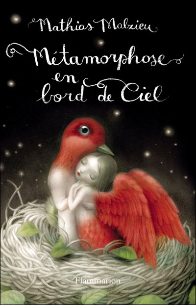 Métamorphose en bord de ciel Métamorphose en bord de ciel