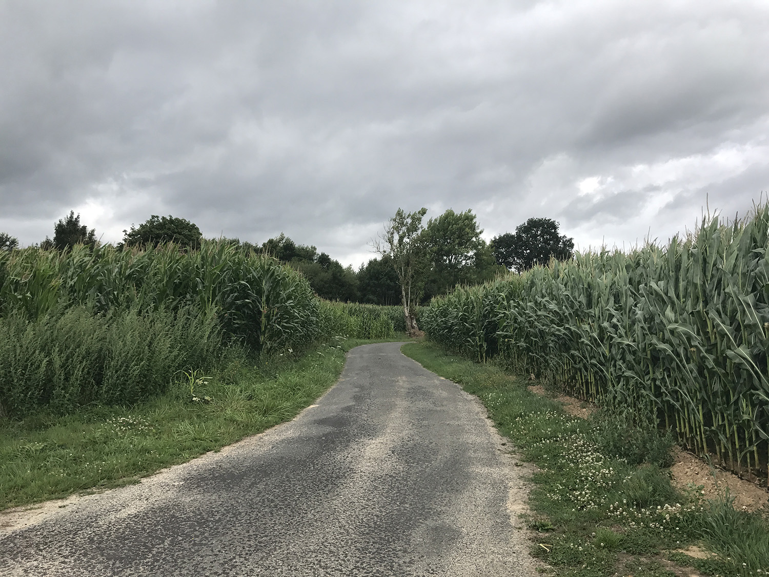 Paris-Deauville à vélo