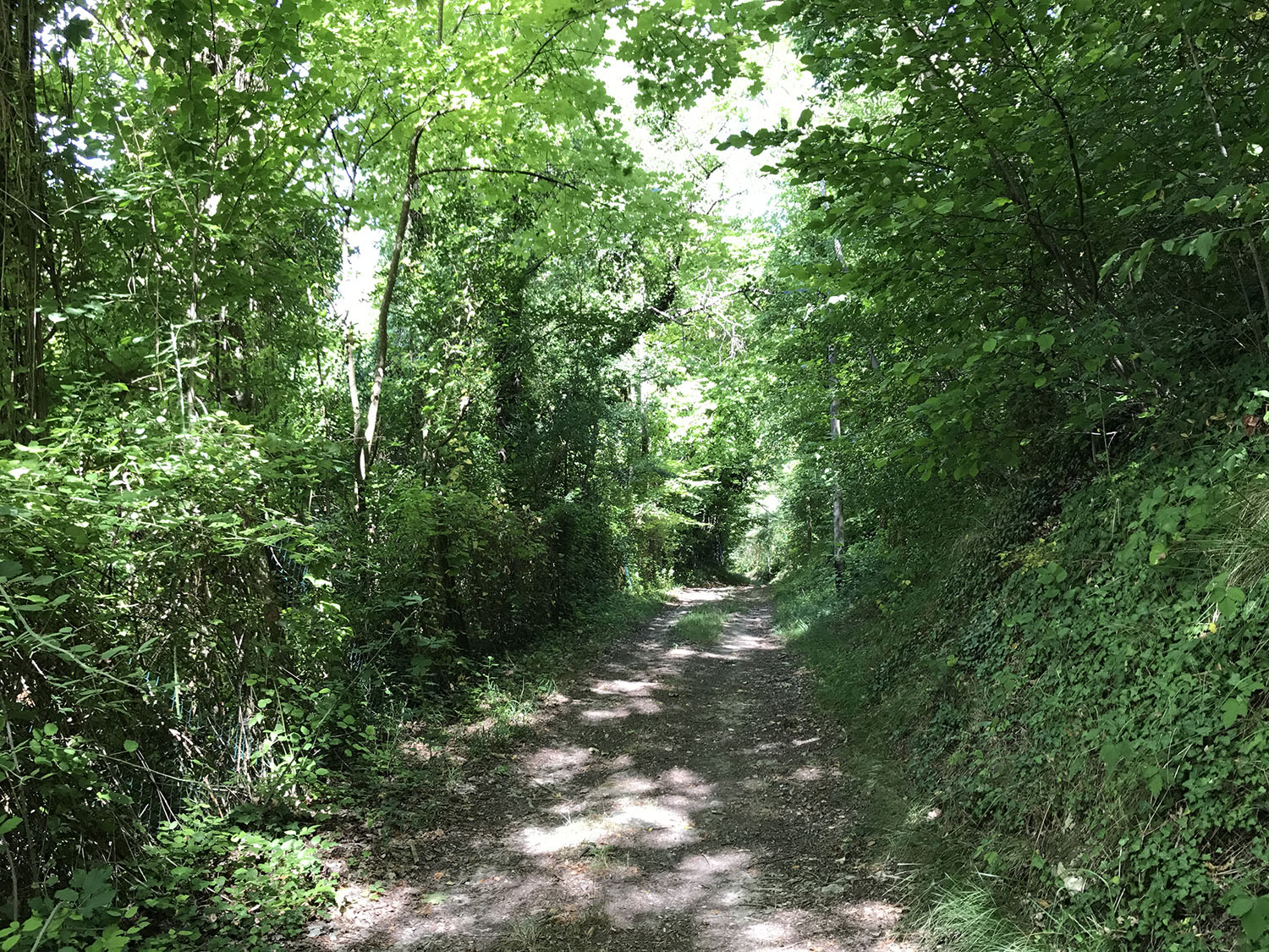 Paris-Deauville à vélo