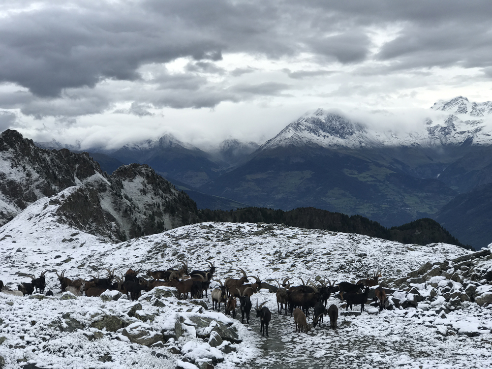 Vallée d'Aoste