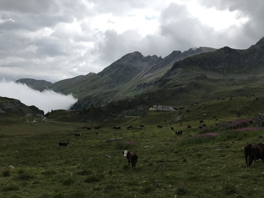 Vallée d'Aoste